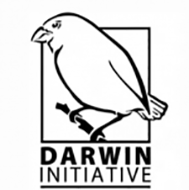 Logo 6
