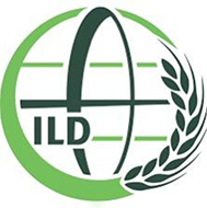 Logo 1