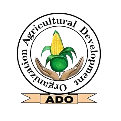 Adosom